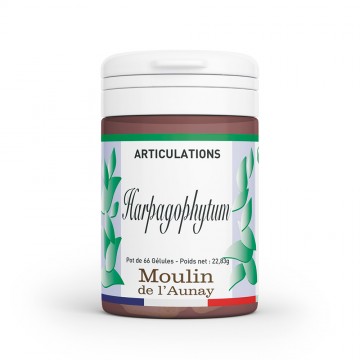 Harpagophytum – Soulage vos articulations