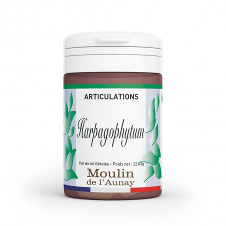Harpagophytum – Soulage vos articulations