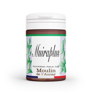 MUIRAPLUS - Le secret du “Bois Bandé”