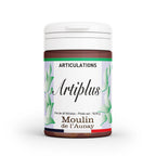 ARTIPLUS