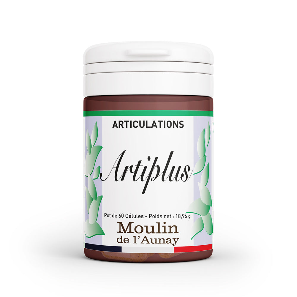 ARTIPLUS