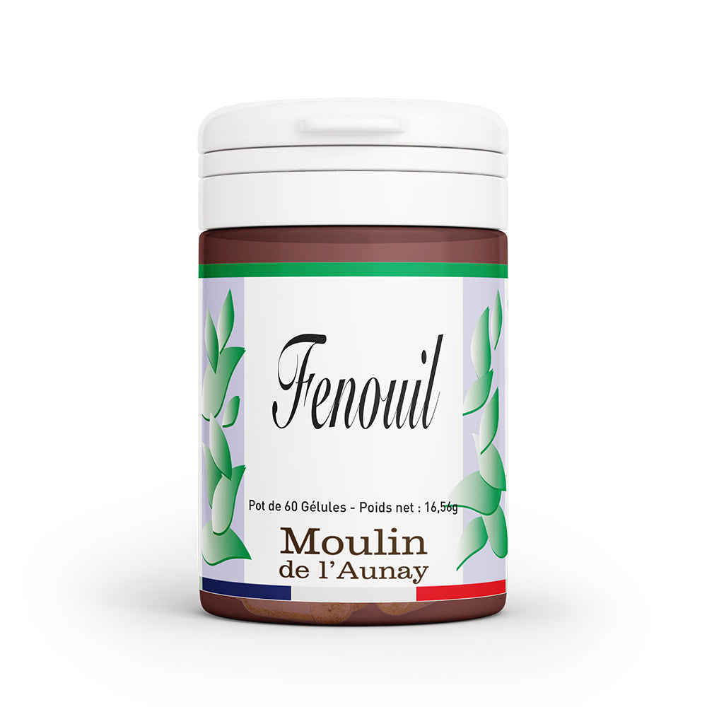 Fenouil - La plante drainante qui affine et purifie