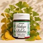 GINKGO BILOBA