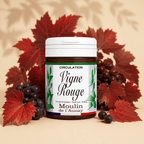 VIGNE ROUGE