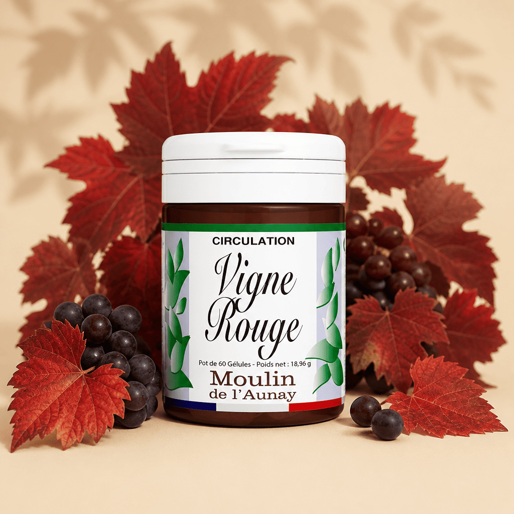 VIGNE ROUGE