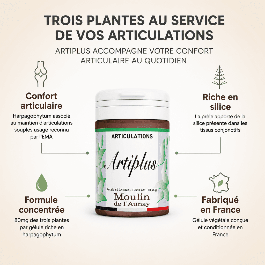 ARTIPLUS