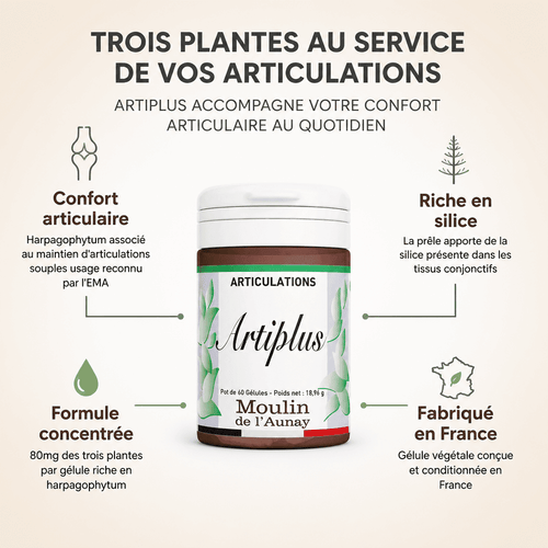 ARTIPLUS