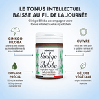 GINKGO BILOBA