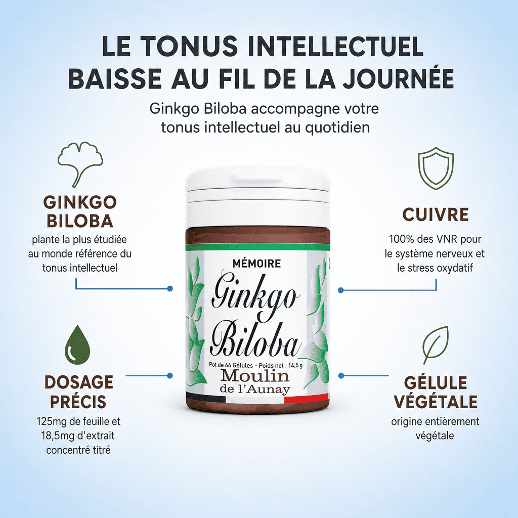 GINKGO BILOBA