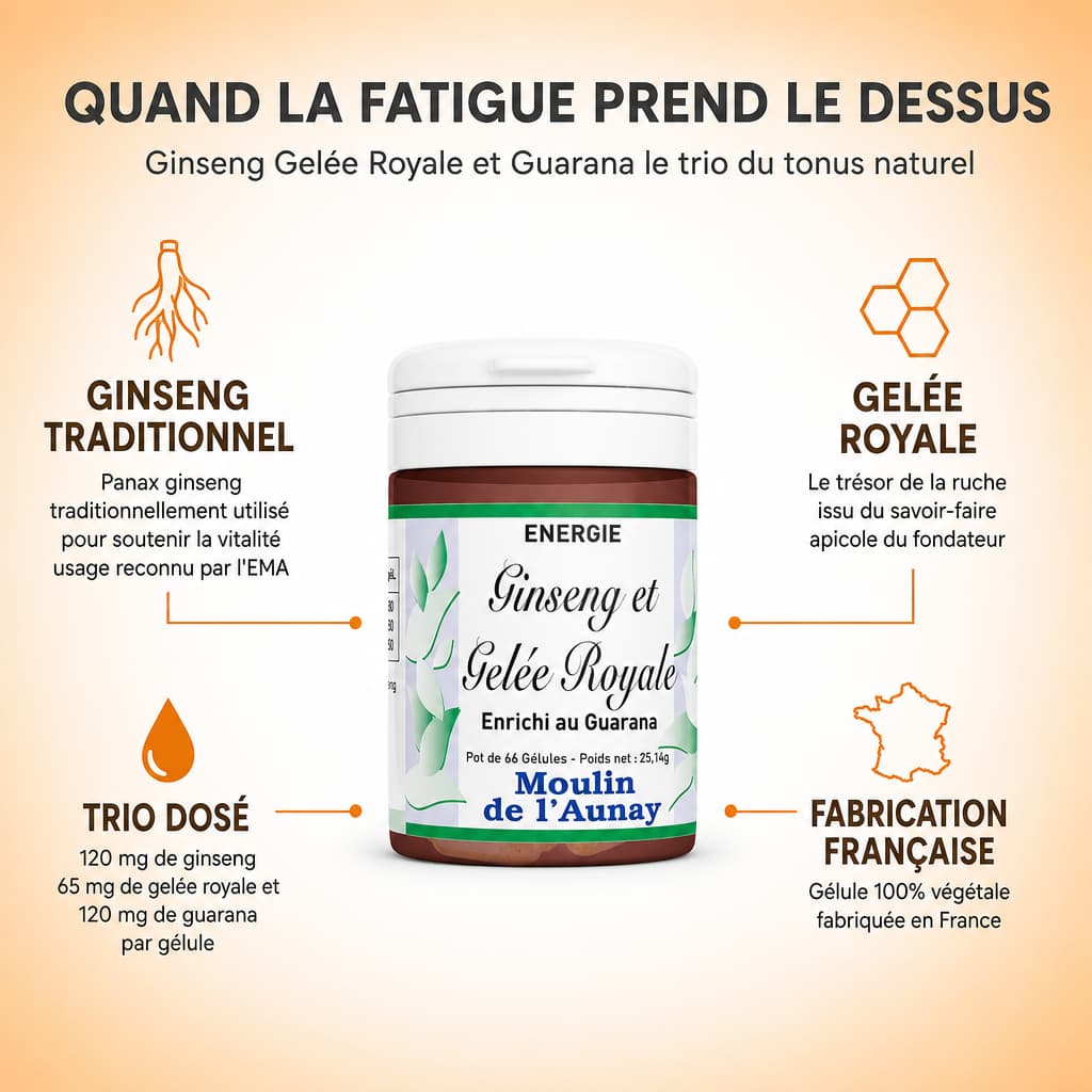 GINSENG, GELÉE ROYALE & GUARANA