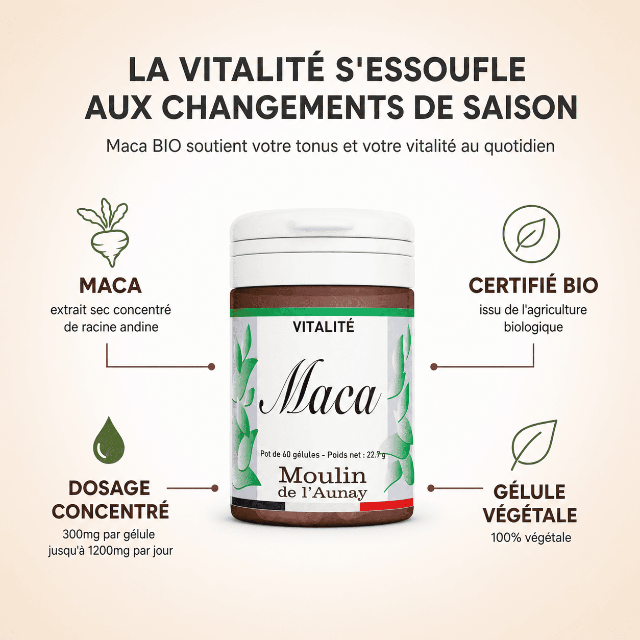 MACA BIO