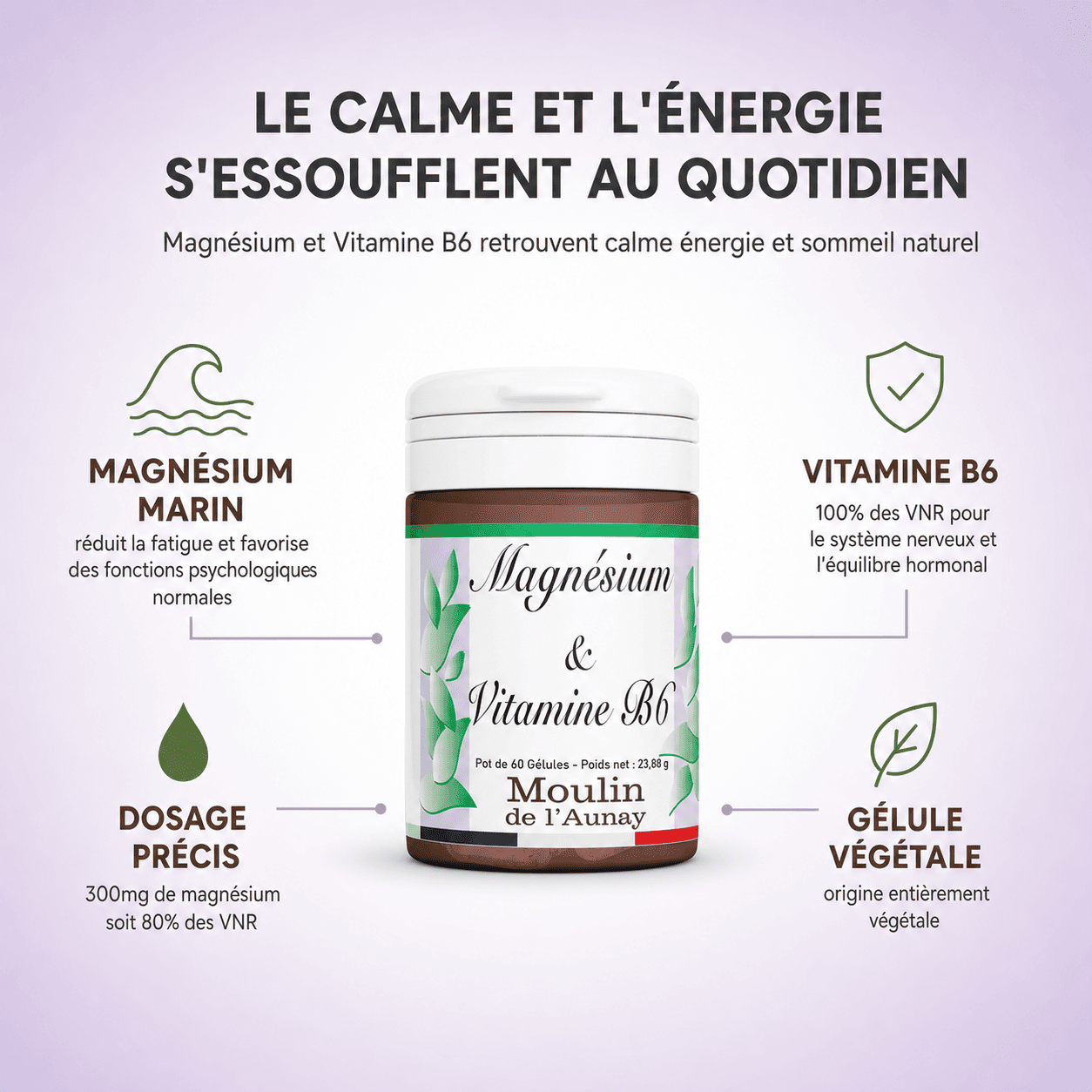 MAGNÉSIUM & VITAMINE B6