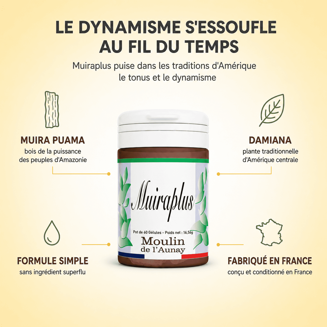 MUIRAPLUS