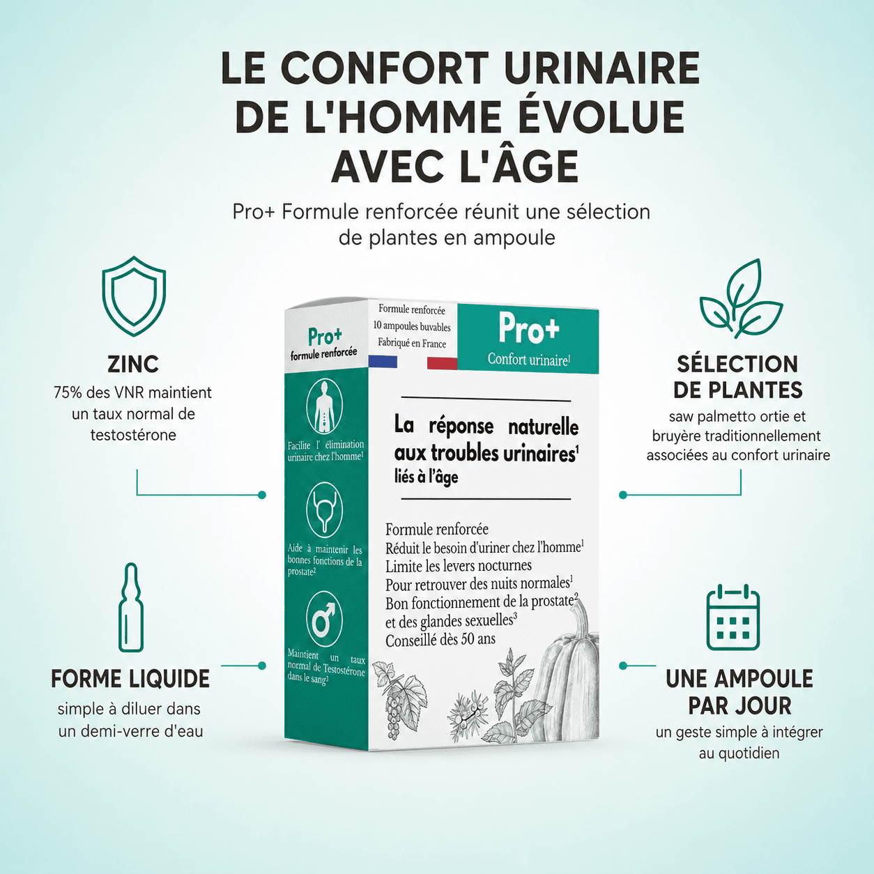 PRO+ Formule renforcée