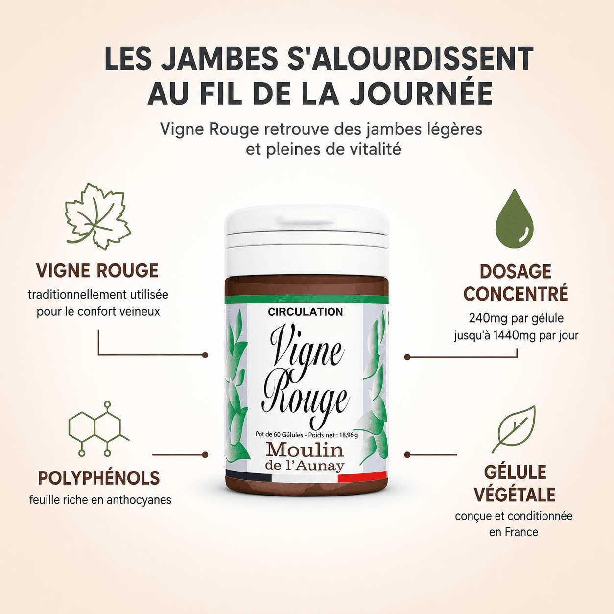 VIGNE ROUGE