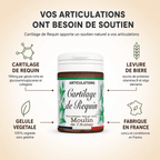 CARTILAGE DE REQUIN