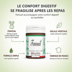 FENOUIL