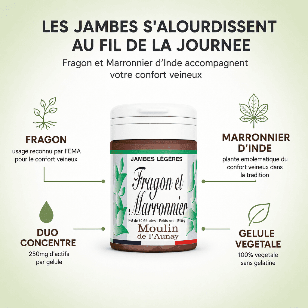 FRAGON ET MARRONNIER D'INDE