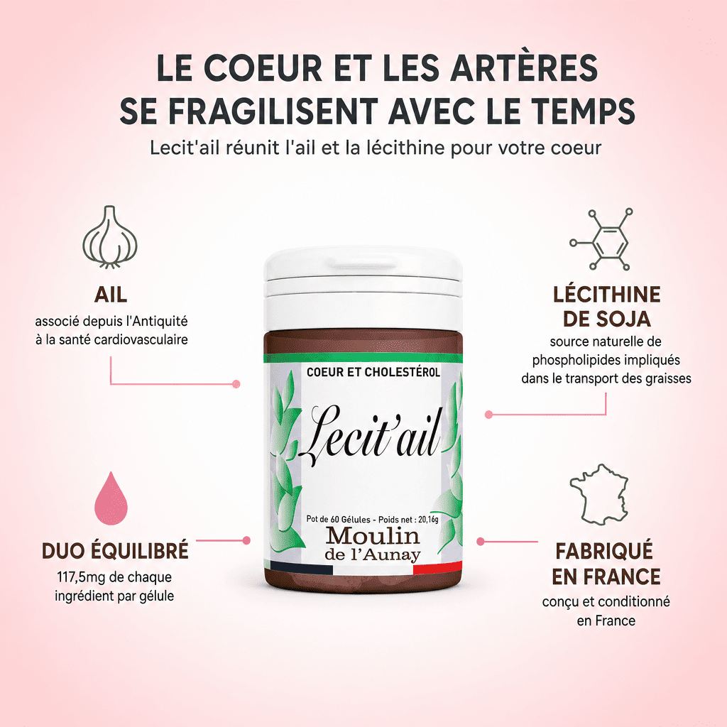 LECIT'AIL