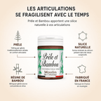 PRÊLE ET BAMBOU