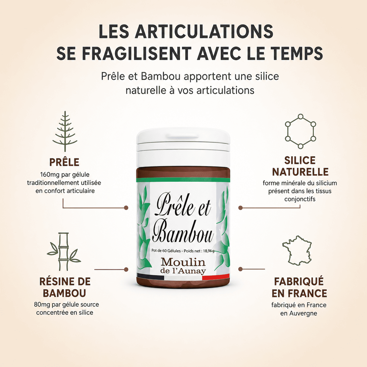 PRÊLE ET BAMBOU